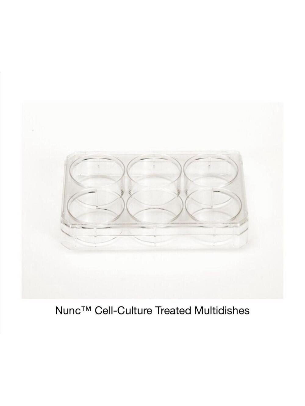 Thermo Scientific 140675 Multi Dish 6 Well 75 Count NEW/SEALED + FAST SHIPPING
